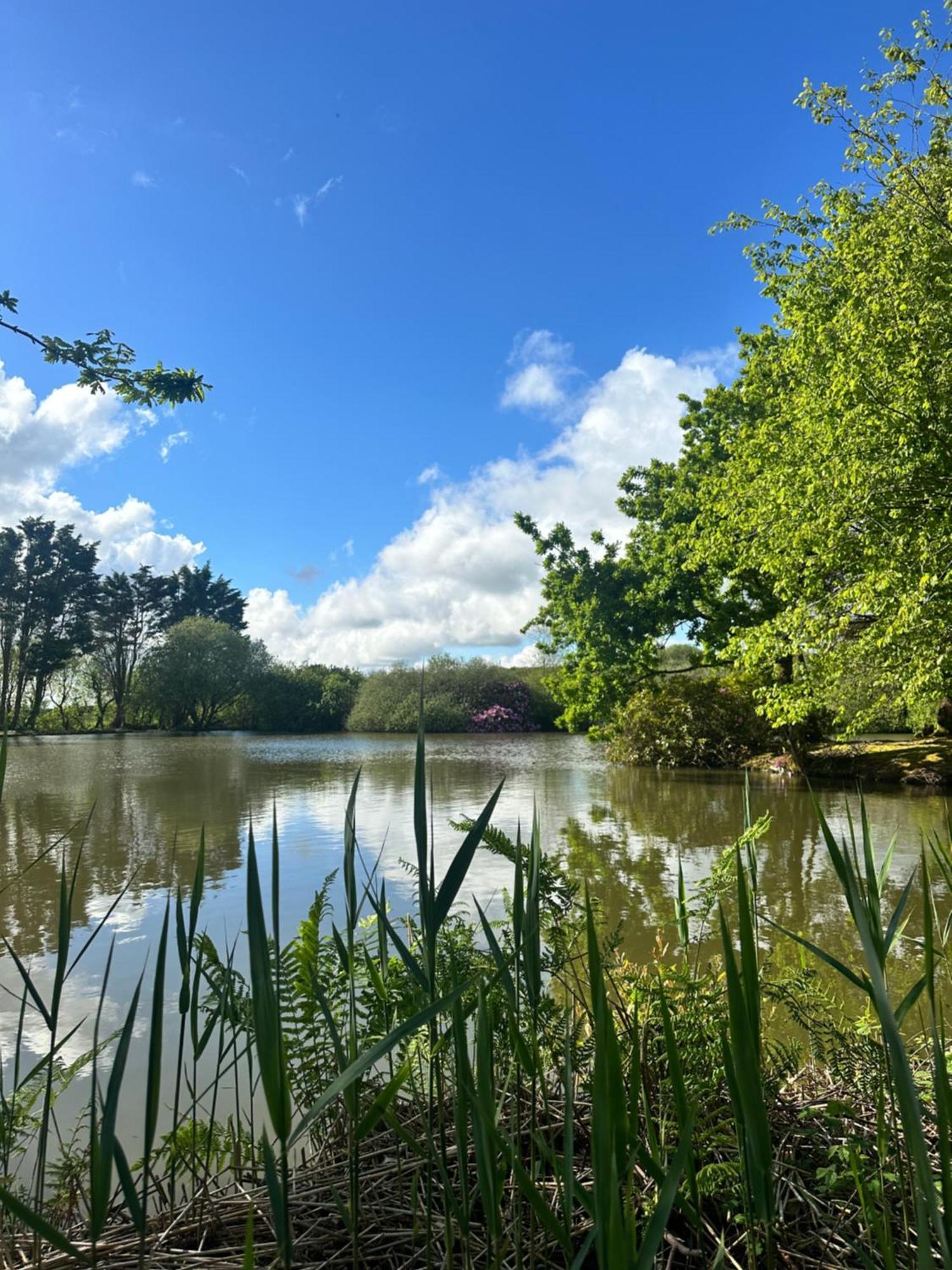 Lakeside Glamping Firecrest سانت كولوم ميجُر المظهر الخارجي الصورة