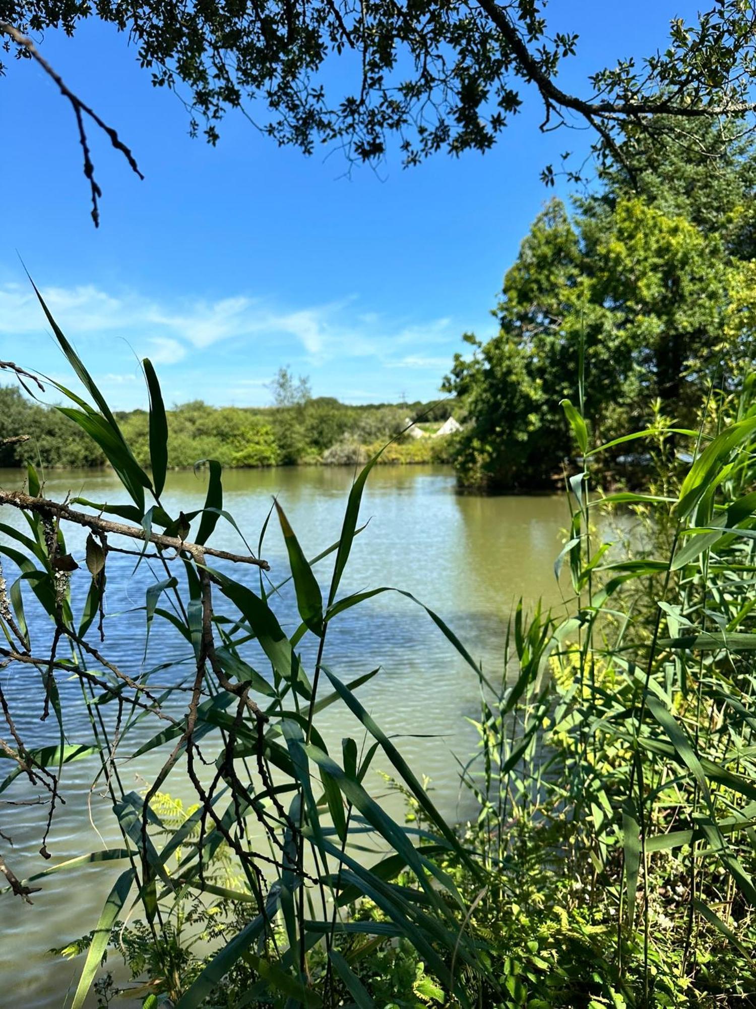 Lakeside Glamping Firecrest سانت كولوم ميجُر المظهر الخارجي الصورة
